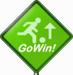 www.gowinsoftware.com